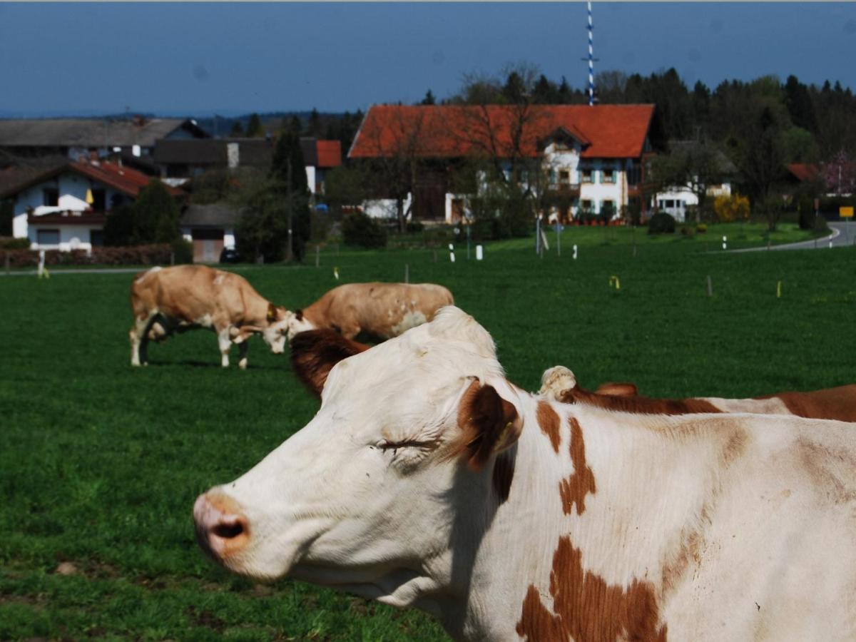 Auf'M Reifnhof Villa Riedering Exteriör bild