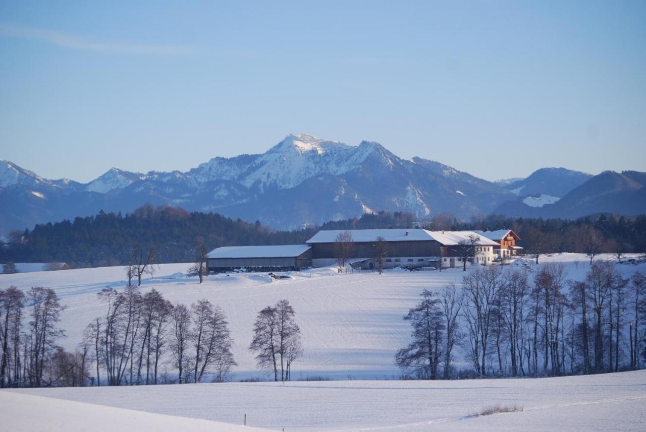 Auf'M Reifnhof Villa Riedering Exteriör bild